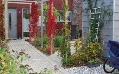 Trädgård från grunden i Lund